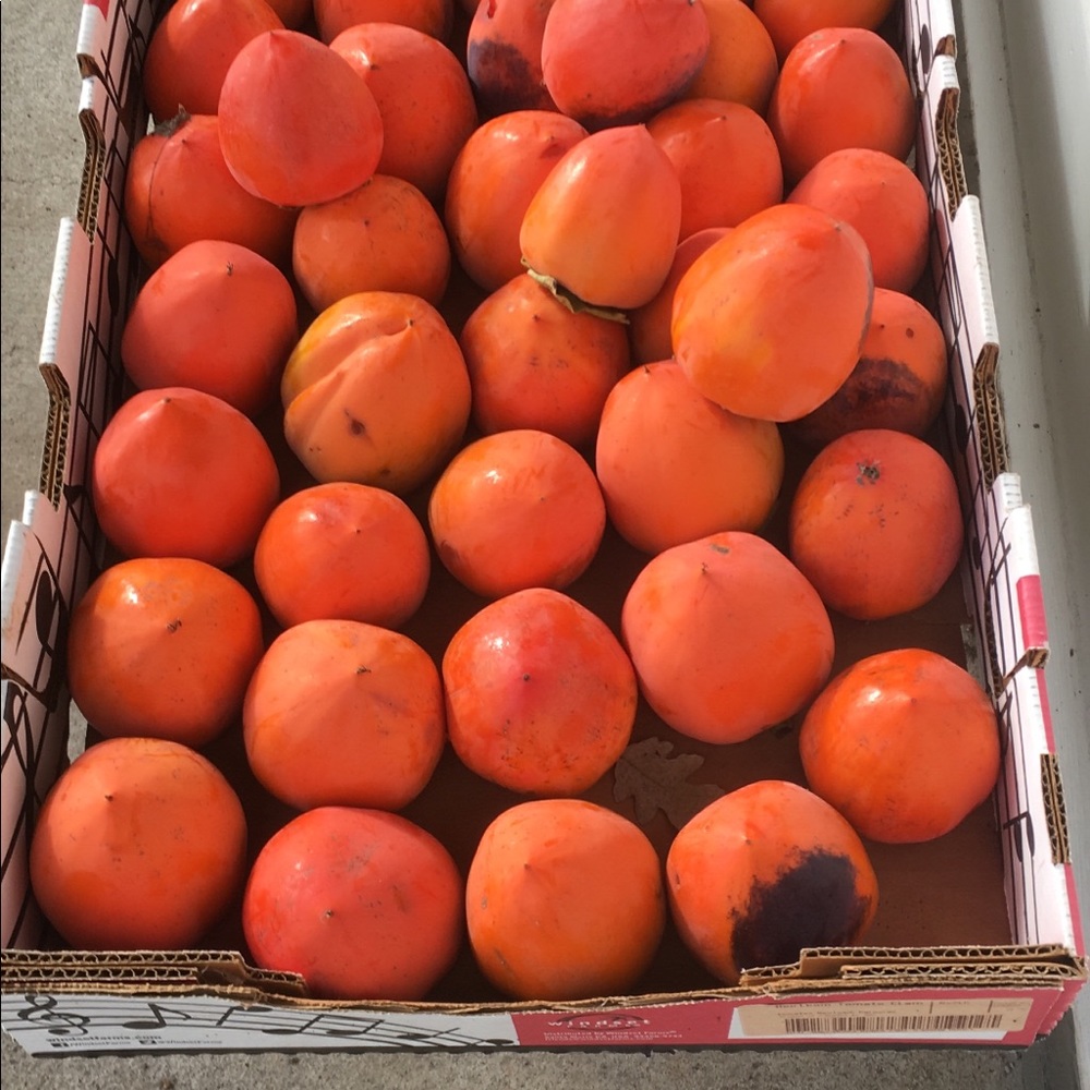 Meet your Posher, Karin